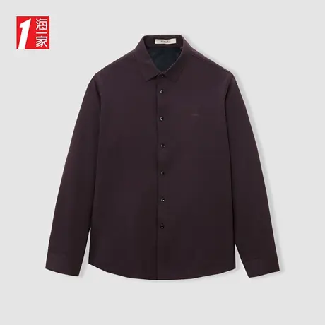 海一家沉稳简约长衬2023冬季新款保暖加绒中年男士长袖衬衫商品大图