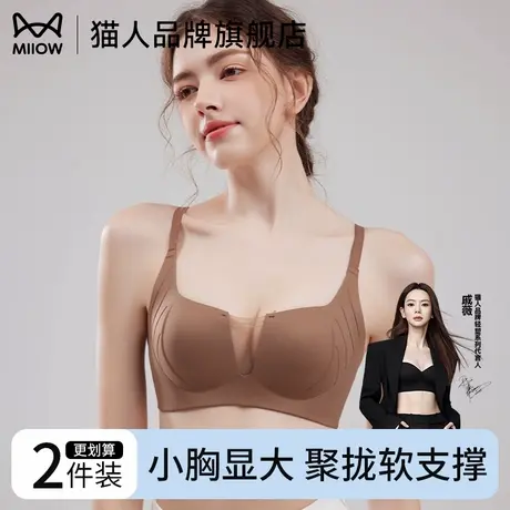 猫人性感深V网纱女士内衣无痕提拉聚拢小胸显大承托防下垂文胸女商品大图