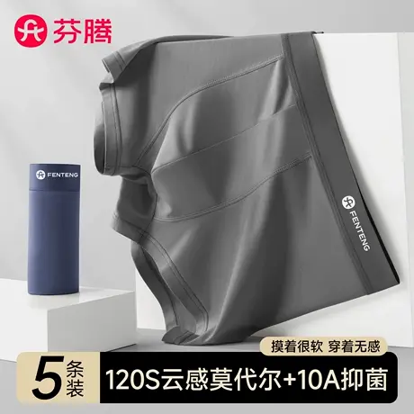 芬腾莫代尔男士内裤男生四角裤头2025新款男款抗菌平角透气短裤衩商品大图
