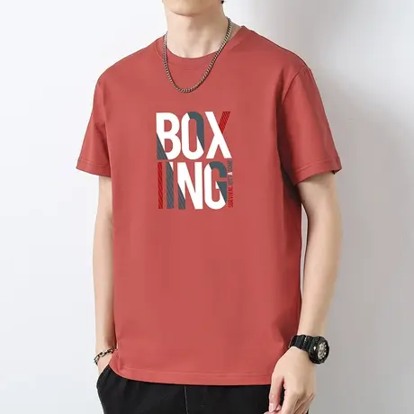 重磅纯棉短袖t恤男装潮牌夏季液氨长绒棉全棉半袖宽松圆领上衣服商品大图