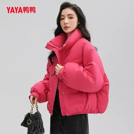 鸭鸭羽绒服女2023年秋季新款短款立领时尚休闲保暖外套Y图片