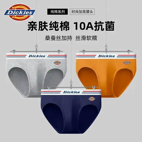 Dickies男士三角裤2025新款秋季纯棉内裤青少年运动薄款透气中腰商品大图