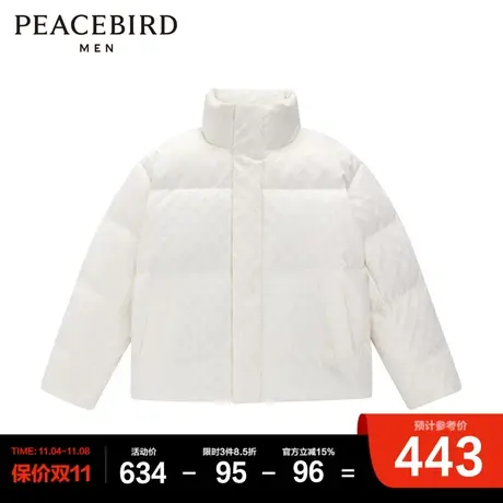 太平鸟男装 羽绒服图片