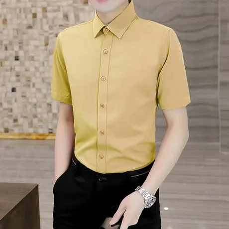 短袖衬衫夏季男士白色工装衬衣韩版修身免烫休闲商务高端轻奢寸衫商品大图