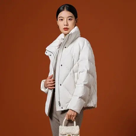 坦博尔23年新款羽绒服女短款鹅绒立领商务百搭保暖外套冬TB232372商品大图
