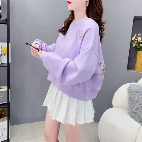 ins超火小个子刺绣卫衣女士2023年新款早秋宽松洋气网红短款上衣商品大图