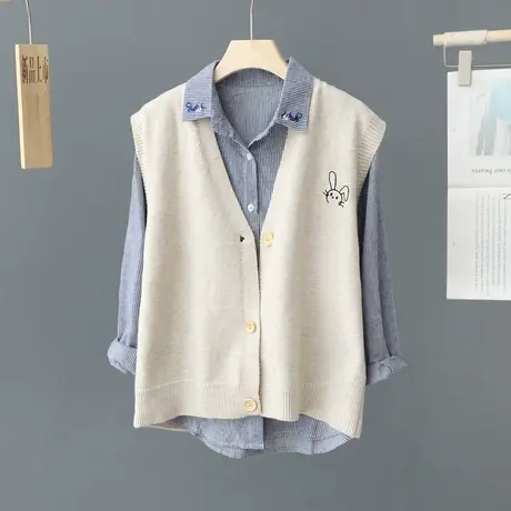 无袖v领针织马甲女春秋新款外穿百搭毛衣背心叠穿刺绣坎肩上衣潮商品大图