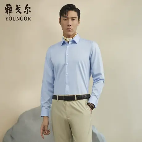 雅戈尔奥莱 男装商务休闲长袖衬衫DP免烫商务休闲衬衣男商品大图