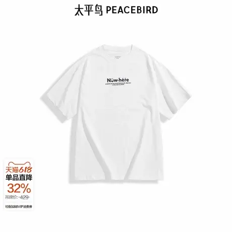 【商场同款】太平鸟男装 休闲T恤2024新款印花时尚t恤 B2CNE4277商品大图