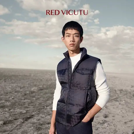 VICUTU/威可多男士休闲马甲舒暖鸭绒商务通勤休闲百搭马夹图片