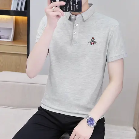 2023夏季保罗polo衫男短袖刺绣潮流翻领修身半袖t恤上衣服爸爸装商品大图