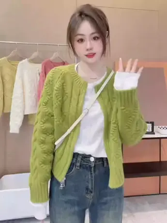 韩系简约百搭拉链短款针织开衫秋季新款小香风纯色软糯减龄毛衣女商品大图