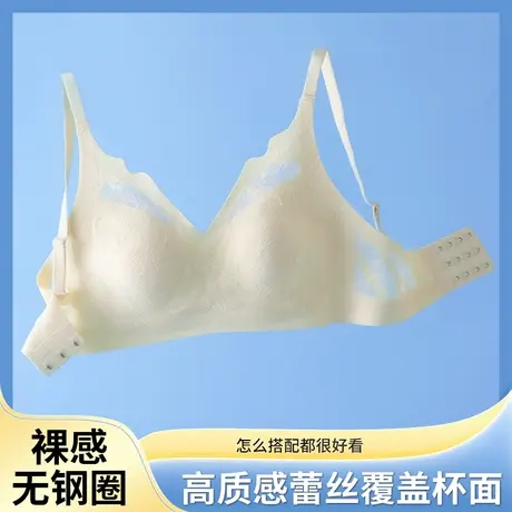 蕾丝性感小胸聚拢内衣女收副乳聚拢上托防下垂无钢圈薄杯乳胶文胸商品大图