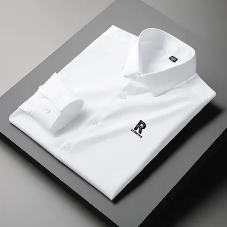 休闲衬衫男长袖2024新款春秋季商务正装白色衬衣轻熟风高级感寸衫商品大图