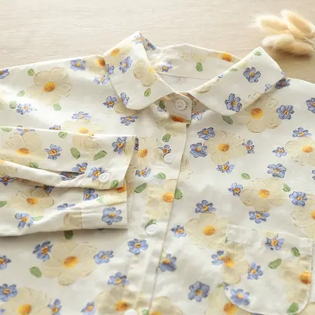 春秋新款文艺小清新彩绘碎花纯棉长袖衬衫女学生宽松百搭打底上衣商品大图