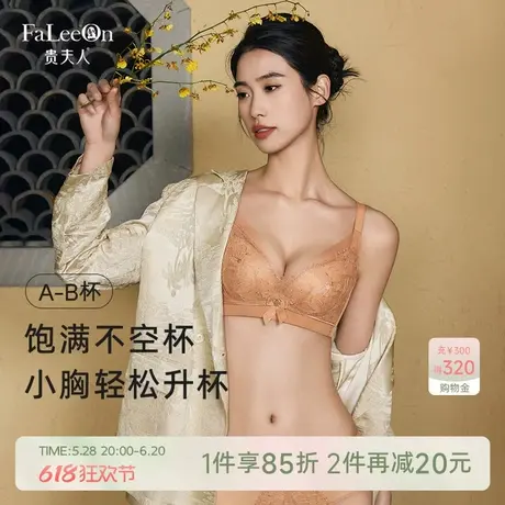 【浮光】贵夫人小胸聚拢内衣女调整型收副乳提托防下垂中厚款文胸商品大图