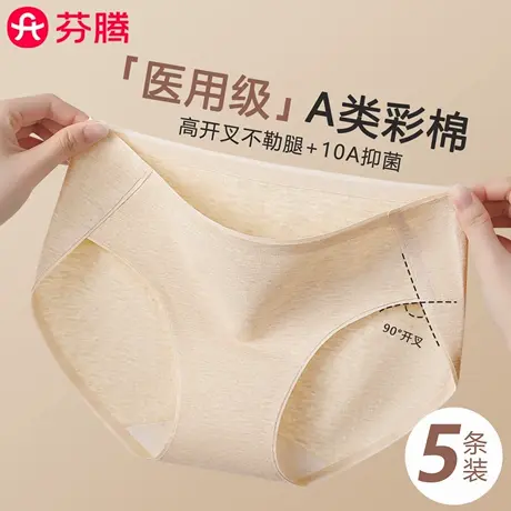 芬腾内裤女士A类医用纯棉抗菌2025新款无痕加长档少女生三角短裤商品大图