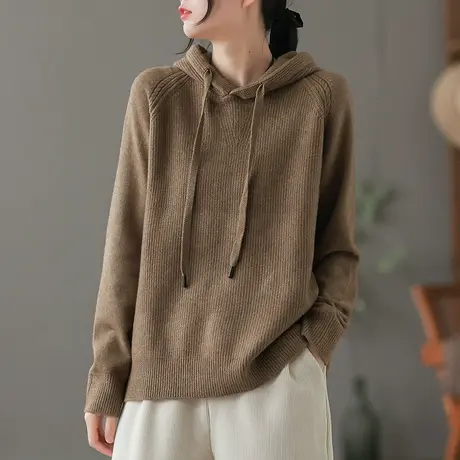 dza 复古纯色连帽毛衣女士秋冬棉线针织衫短款休闲打底衫内搭上衣商品大图