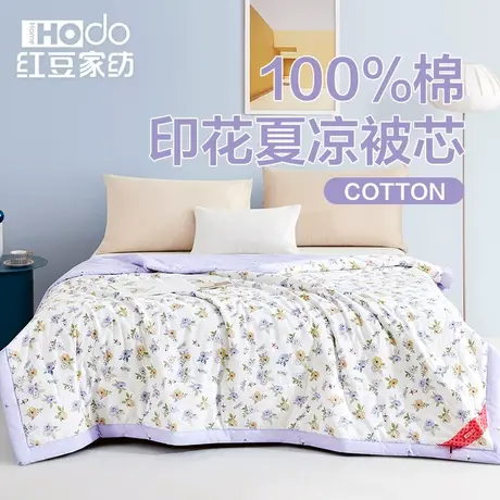 红豆空调被夏季夏凉被双人夏天被子宿舍单人夏被春秋可机洗薄被芯商品大图