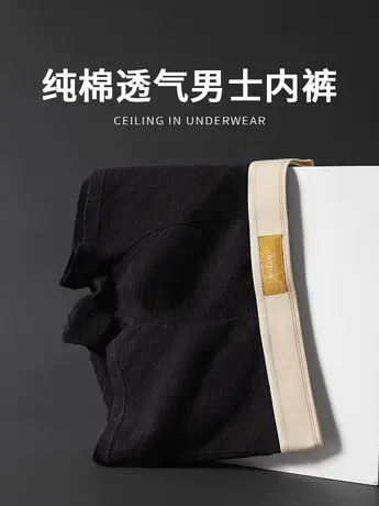 男士内裤男纯棉平角裤男生短裤男式底裤运动裤衩男款全棉四角裤头图片