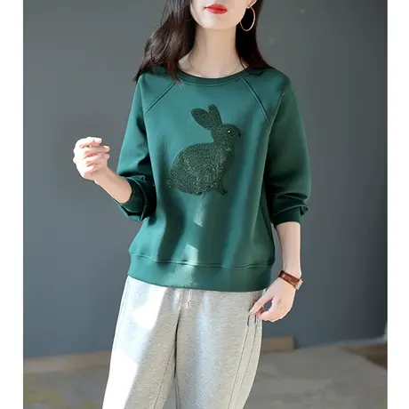 宝诗黎2023新款圆领亮片刺绣休闲短卫衣女秋时尚百搭棉质套头上衣商品大图