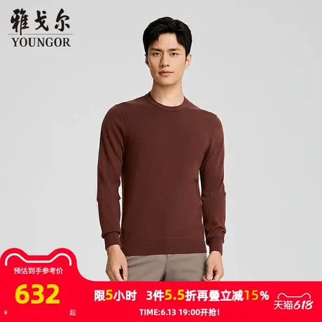 【商场同款】雅戈尔男士羊毛衫秋冬新款官方商务休闲羊毛衫男图片