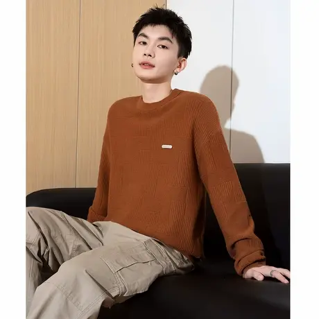 唐狮春季新款圆领毛衣男纯色慵懒风内搭青少年套头针织线衫潮TD图片