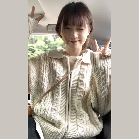 日系复古麻花拉链毛衣外套女秋冬小众设计感慵懒风针织polo领开衫图片
