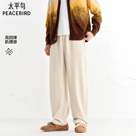 【商场同款】太平鸟男装休闲裤25秋季新款直筒卫裤潮 B2GMF3440商品大图