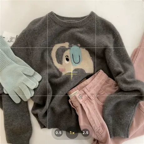 软糯卡通大象提花浣熊绒圆领套头毛衣女2022冬宽松百搭羊毛针织衫图片