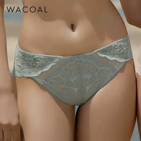 华歌尔Wacoal 华丽轻盈透气中腰三角裤内裤内衣女WP32E5商品大图