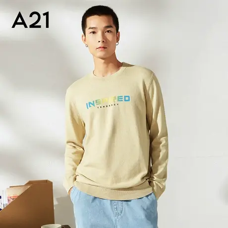 A21秋季新款男装圆领毛衣秋冬季潮男针织衫保暖上衣男士衣服图片
