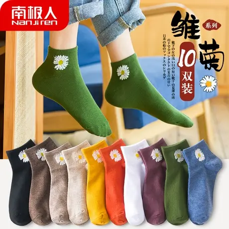 袜子女短袜浅口ins潮日系网红小雏菊船袜春秋款中筒棉袜夏季薄款商品大图