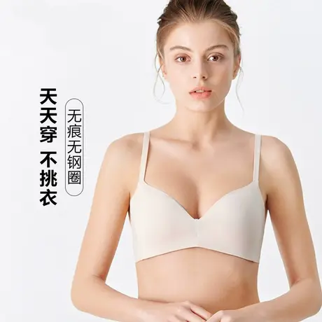 【法式三角杯】安莉芳outlets芬狄诗光面文胸中厚无钢圈无痕内衣商品大图