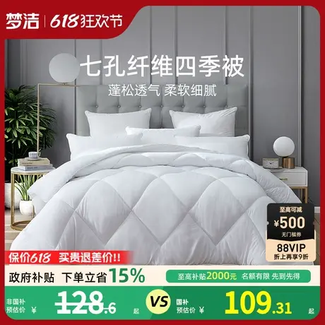 梦洁家纺床上用品被子被芯春秋被家用学生宿舍七孔蓬蓬被商品大图