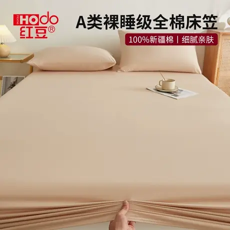 红豆纯棉床笠罩2025新款四季通用夏季床垫罩全棉床垫保护罩可裸睡商品大图