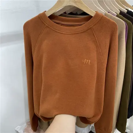 欧货圆领刺绣字母拼接双面磨毛宽松长袖上衣女2022秋冬新款打底衫图片
