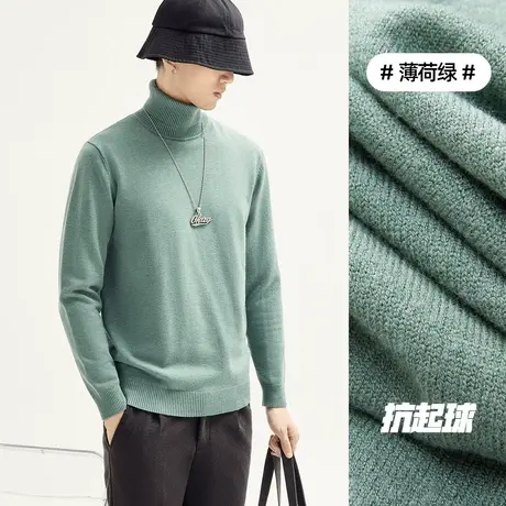 高领毛衣男秋冬季新款修身内搭打底针织衫毛衣帅气百搭毛绒衫上衣商品大图