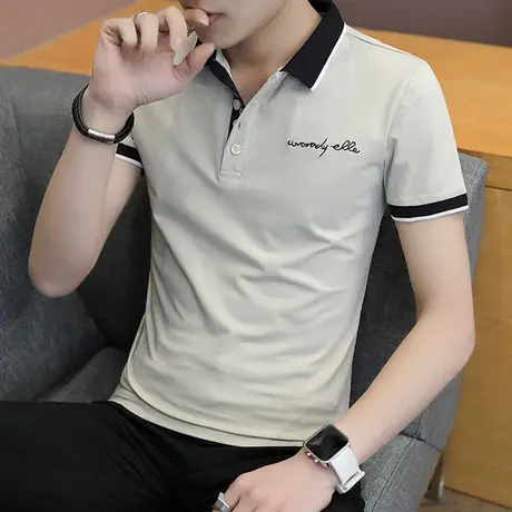 男士短袖t恤2025新款潮流韩版上衣服男装潮牌polo衫带领半袖体恤商品大图