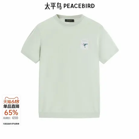太平鸟男装T恤夏新款打底衫精致刺绣柔软亲肤罗纹净色百搭短袖潮商品大图