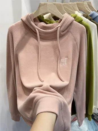 欧货双面磨毛德绒连帽卫衣女2023秋冬新款韩版宽松刺绣打底衫上衣商品大图