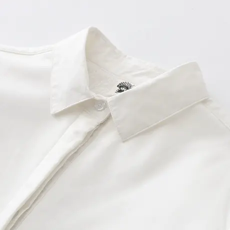 2019秋冬新款韩版文艺加绒纯棉白衬衫女百搭保暖加厚内搭打底衬衣商品大图