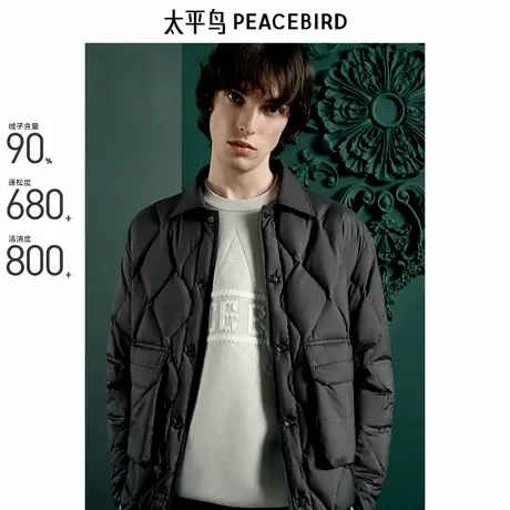 【商场同款】太平鸟男装 Daria Song联名合作系列羽绒服B1ACE4918商品大图
