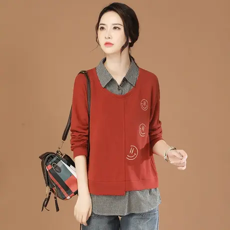 韩潮袭人复古假两件衬衫领刺绣套头卫衣女2024春新款格子长袖上衣图片