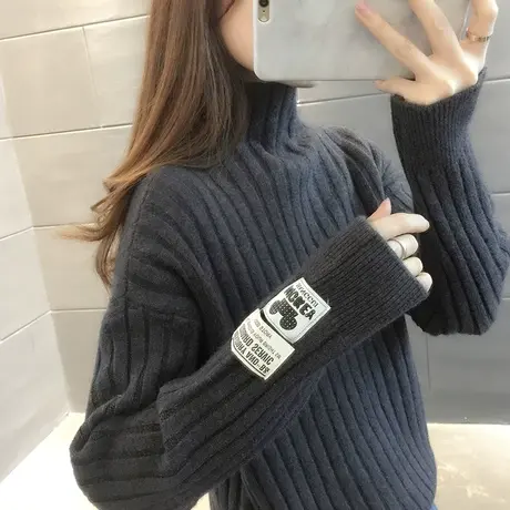 毛衣2024新款春秋季春款春装女士高领加绒女装宽松外穿打底衫洋气图片