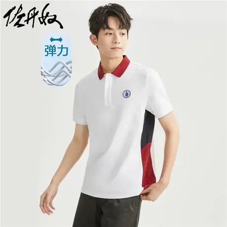 佐丹奴Polo男装撞色绣章针织弹力珠地布短袖POLO 13013309商品大图