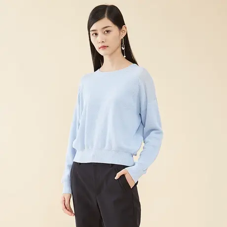 艾格2023春季新款女装时尚百搭休闲简约通勤长袖圆领针织衫W91图片