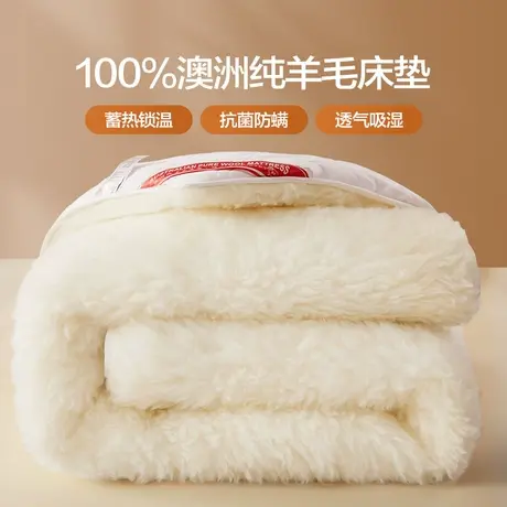恒源祥澳洲进口羊毛床垫软垫冬季床褥子加厚保暖家用羊羔绒垫子商品大图