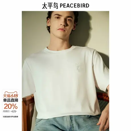 【商场同款】太平鸟男装T恤春夏新款刺绣净色刺绣短袖 B1CNF1430商品大图