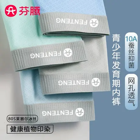 芬腾青少年内裤男生发育期大童夏薄款儿童冰丝平角裤男孩四角短裤商品大图